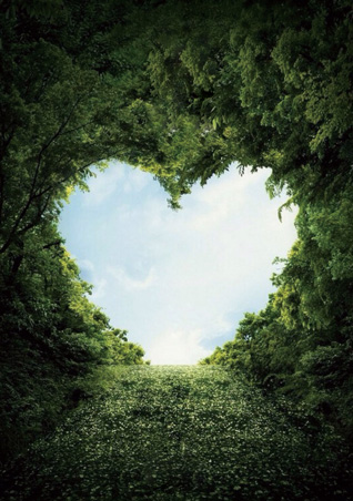 哈鹵鹵汁飯加盟